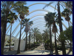 City of Arts and Sciences 031 - L'Umbracle, a 320 m long garden walk that is like an entrance. It has over 100 palm trees.